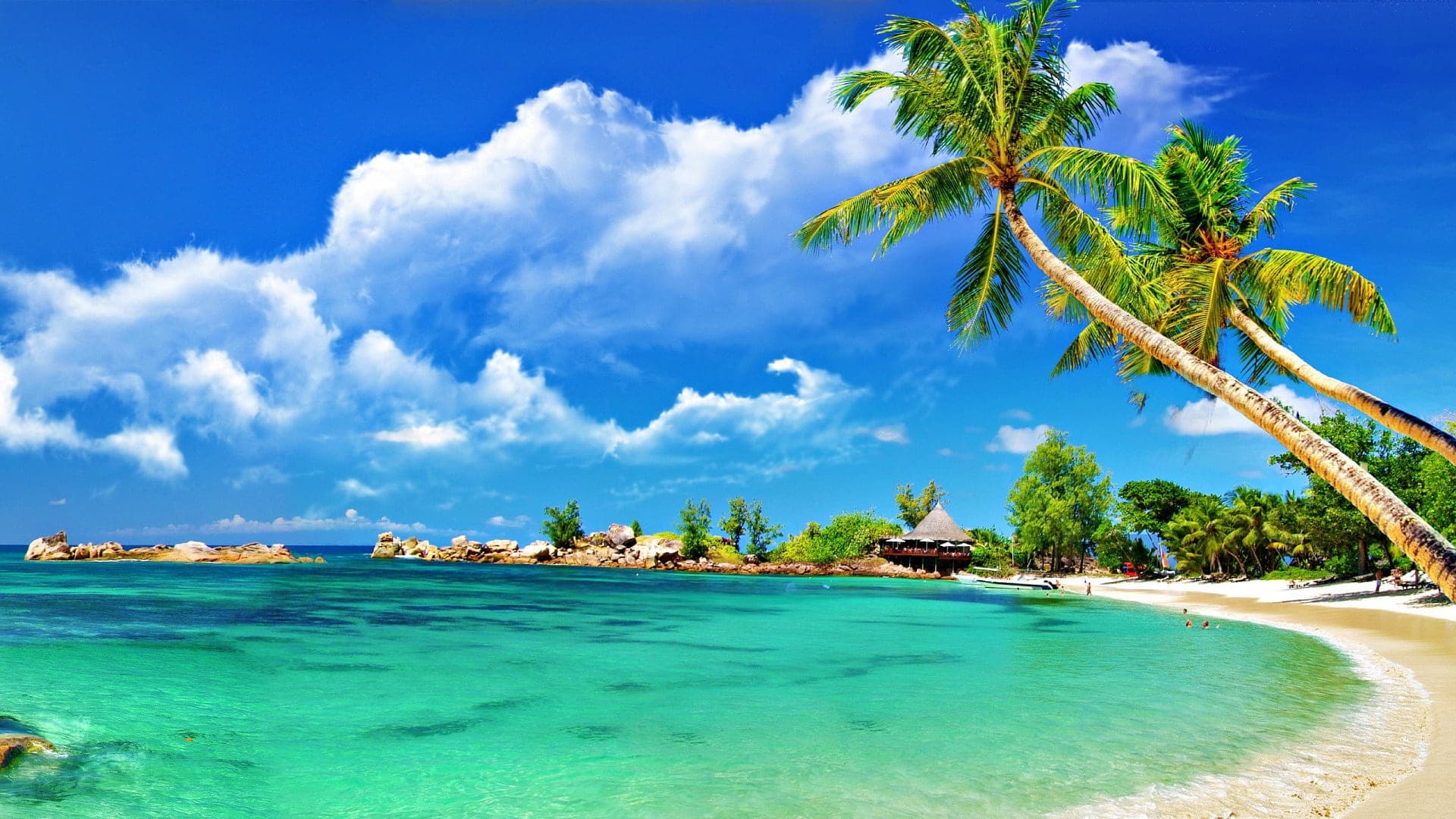 Header Image